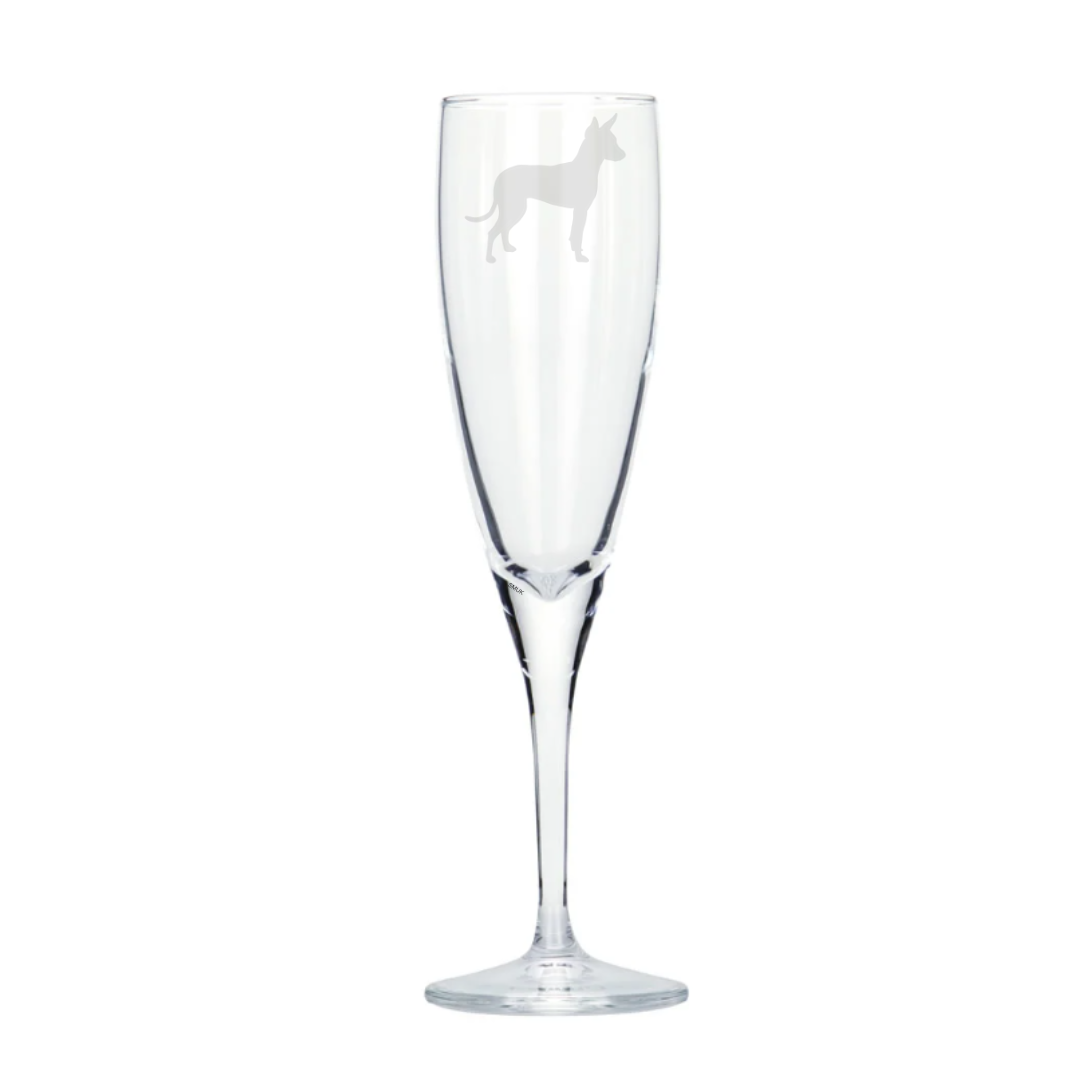 Personalised English Toy Terrier Dog Engraved Champagne Glass