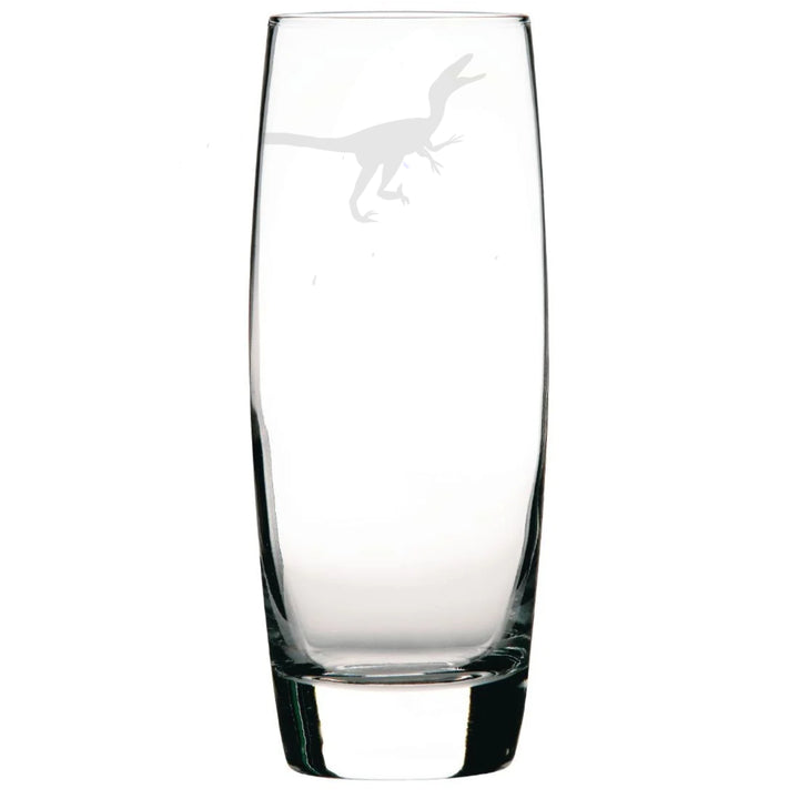 Personalised Raptor Dinosaur Hi-Ball Glass