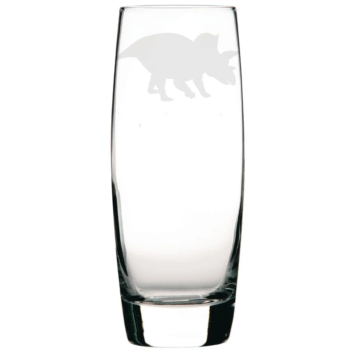 Personalised Triceratops Dinosaur Hi-Ball Glass