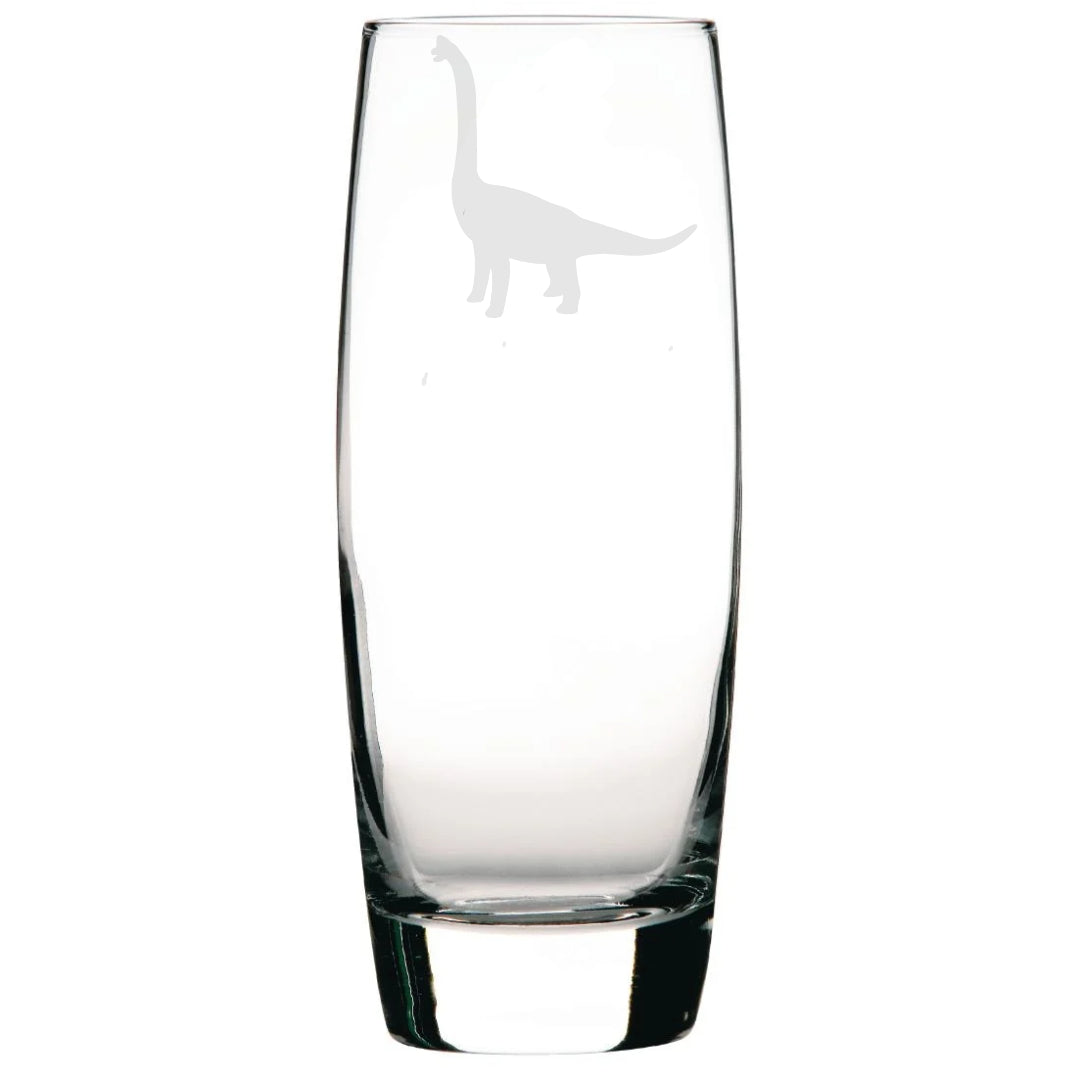 Personalised Brachiosaurus Dinosaur Hi-Ball Glass