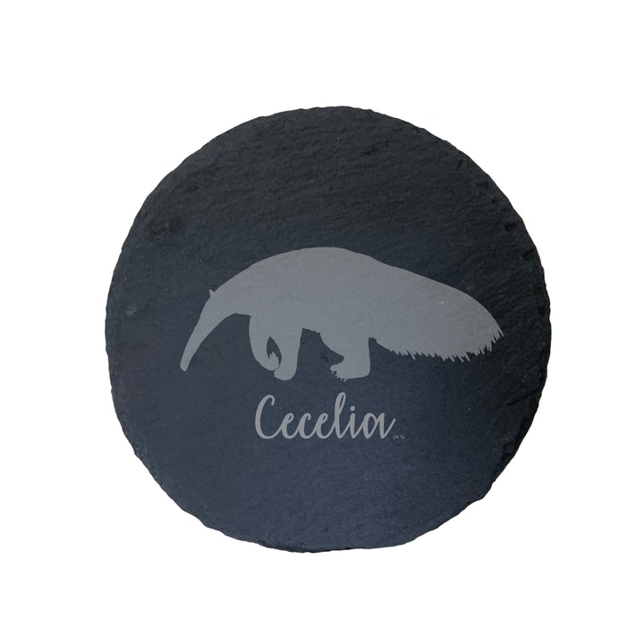 Personalised Anteater Slate Coaster