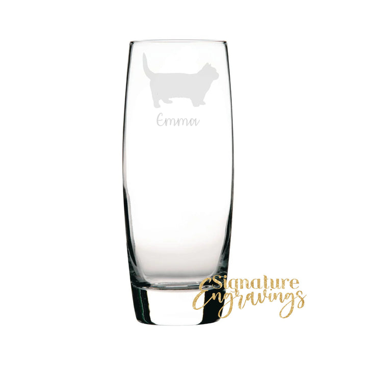 Personalised Munchkin Cat HiBall Glass